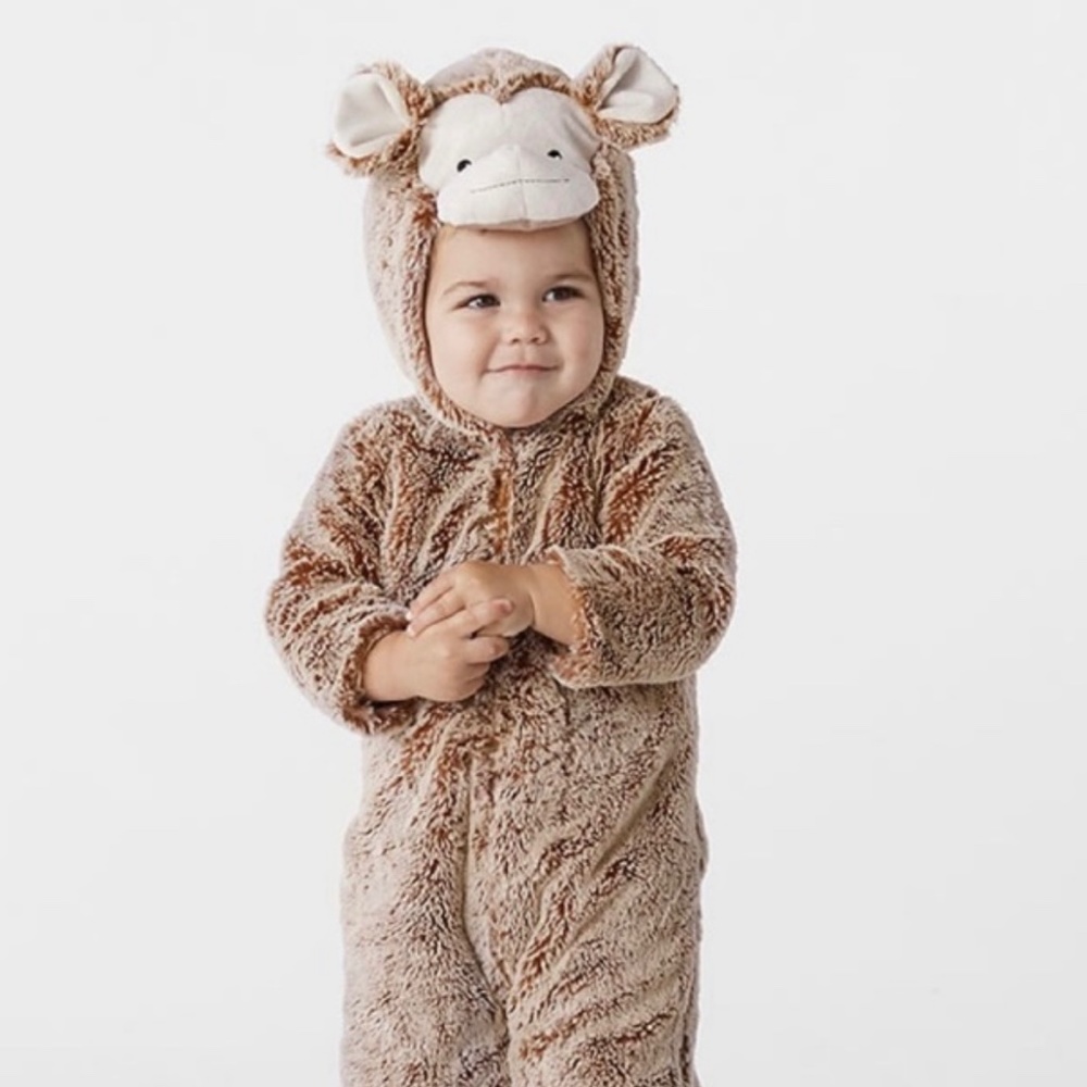 Pottery Barn Kids Brown Plush Monkey Halloween Costume